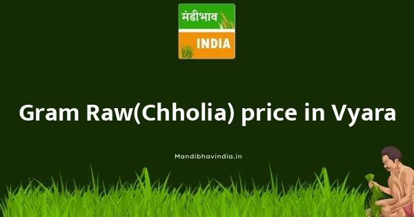 Gram Raw(Chholia) price